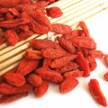 Getrocknete Goji-Beeren/Bio-Goji-Beeren-Export/ Bulk-Goji-Frucht